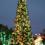 １２月１３日（土）