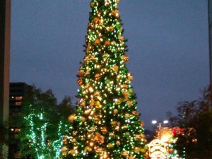 １２月１３日（土）