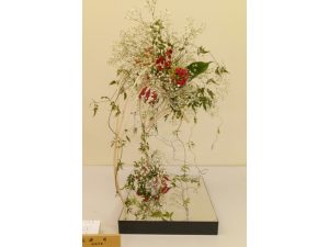 ２月２２日（日） - [2/2]